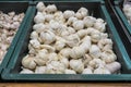 Garlic in Basket