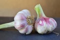 Garlic on a black background Royalty Free Stock Photo