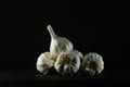 garlic bulbs on black background
