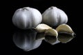 Garlic on black background