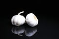 Garlic on black reflective studio background. Isolated black shiny mirror mirrored background for every concept. Royalty Free Stock Photo