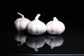 Garlic on black reflective studio background. Isolated black shiny mirror mirrored background for every concept. Royalty Free Stock Photo