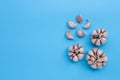 Garlic on blue background. Copy space Royalty Free Stock Photo