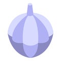 Garlic for borsch icon isometric vector. Ukraine dish