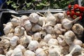 garlic in a box and strawberries in a container at a garden fair