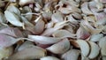 Garlic buds image, Indian garlic