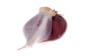 Garlic bulb close up