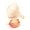 Garlic bulb and clove