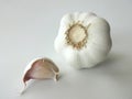 Garlic Bulb and Clove Against White Background Royalty Free Stock Photo