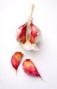 Garlic bulb and cloves