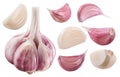 Garlic bulb and garlic cloves. Clipping path.