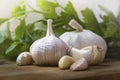 Garlic bulb portrait in kitchen.