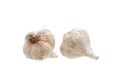 Garlic bulb head fresh fragrant vegetable.