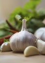 Garlic bulb portrait in kitchen.