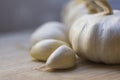 Garlic bulb portrait in kitchen.