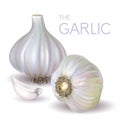 Garlic bulb and slice