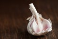 Garlic bulb