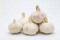 Garlic bulb on white background, Royalty Free Stock Photo