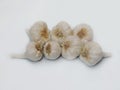 Garlic bulb in white isolated background. Royalty Free Stock Photo