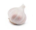 Garlic Bulb on white
