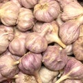 Garlic Bulbs Royalty Free Stock Photo