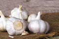 Garlic bulbs (Allium sativum) on sack Royalty Free Stock Photo