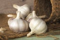 Garlic bulbs (Allium sativum) on sack Royalty Free Stock Photo