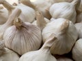 Garlic bulbs Royalty Free Stock Photo
