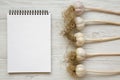 Garlic bulbs with blank notepad on white wooden background, top view.