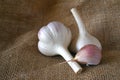 Garlic bulbs and cloves in close-up on sack cloth Royalty Free Stock Photo