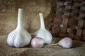 Garlic bulbs and cloves in close-up on sack cloth Royalty Free Stock Photo