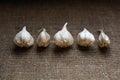 Garlic bulbs with cloves Royalty Free Stock Photo