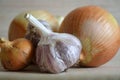 Garlic and bulbs on a light background