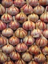 Garlic Bulbs in Rows Royalty Free Stock Photo