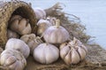 Garlic Bulbs on sack Royalty Free Stock Photo