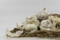 Garlic bulbs on sack Royalty Free Stock Photo