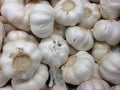 Garlic Bulbs for Sale. Royalty Free Stock Photo