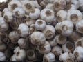 Garlic Bulbs For Sale At Market Royalty Free Stock Photo