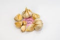 Garlic bulbs on white background