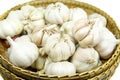 Garlic bulbs in a wicker basket Royalty Free Stock Photo