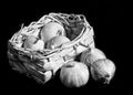 Garlic Bulbs In a Wicker Basket Isolated On Black