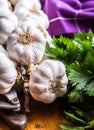 Garlic. Bunch of fresh garlic with celery herbs