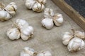 Garlic bundles on a wooden surface. Dried heads of garlic on the counter of the market