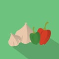 garlic and capsicums. Vector illustration decorative design