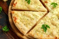 Garlic cheese pizza on wooden board with herbs.