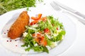 Garlic chicken kiev with mixed leaf salad Royalty Free Stock Photo