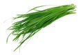 Garlic Chives Royalty Free Stock Photo