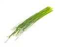 Garlic chives