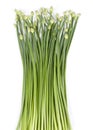 Garlic Chives