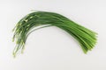 Garlic chives or Allium tuberosum on white background. Fresh healthy organic green Royalty Free Stock Photo